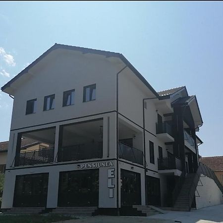 Pensiunea Eli Buziaş Exteriör bild