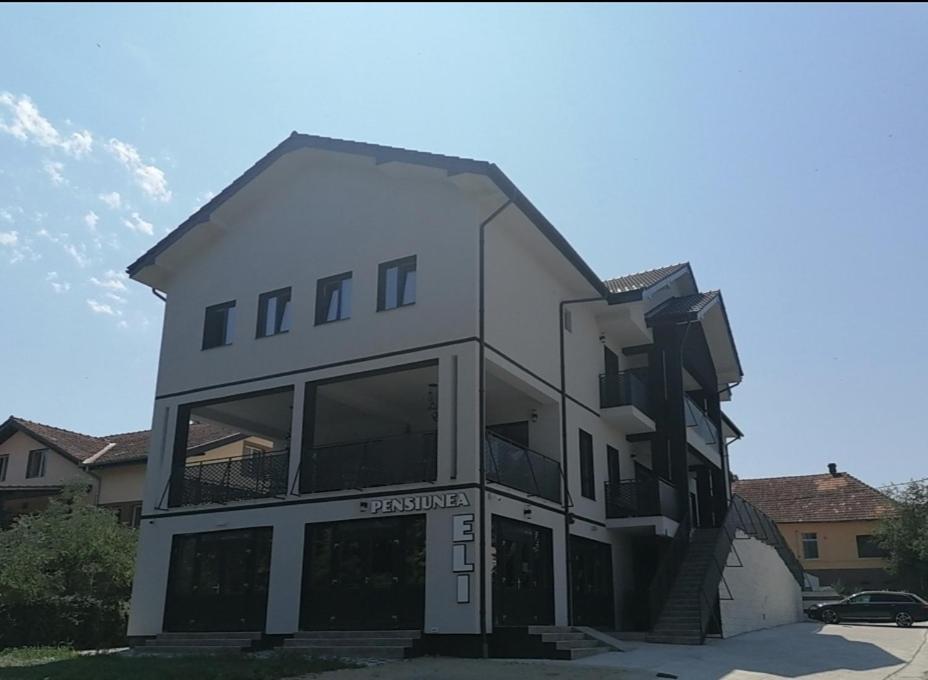 Pensiunea Eli Buziaş Exteriör bild
